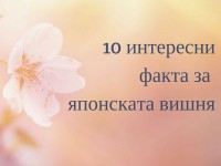 10 интересни факта за японската вишня