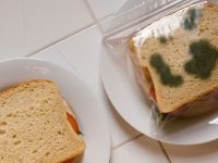 12 продукта с уникален дизайн