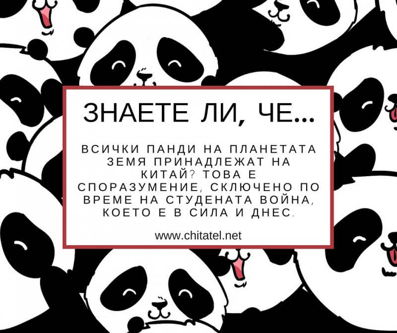Всички панди принадлежат на Китай