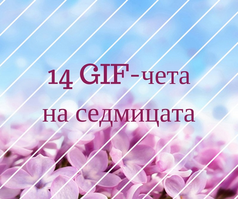 11 GIF-чета на седмицаа