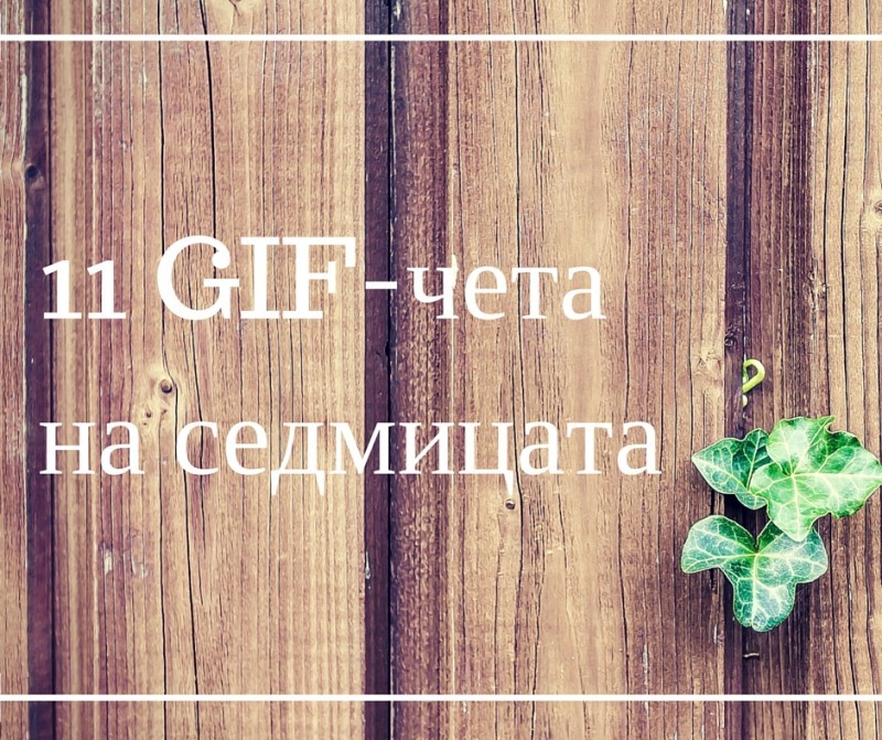 11 GIF-чета на седмицата