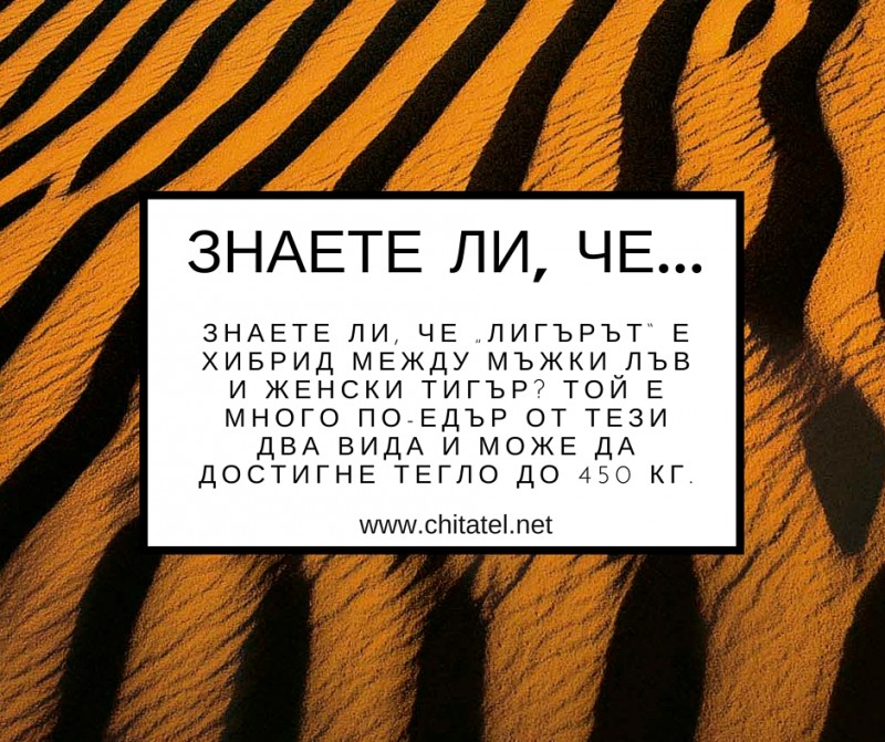 Знаете ли, че...