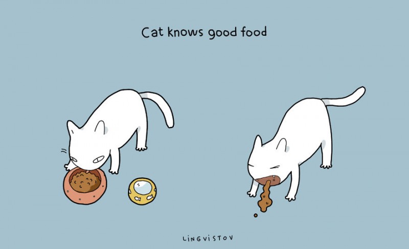 21-Benefits-of-Having-a-Cat-Book17__880