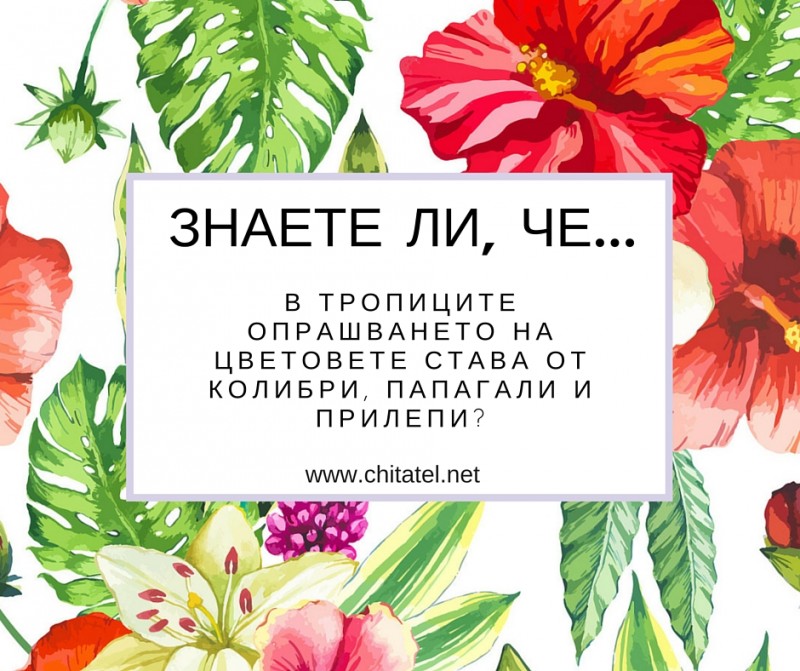 Знаете ли, че...