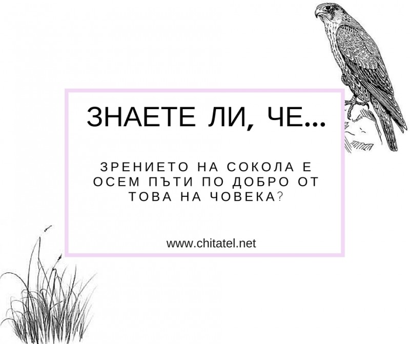 Знаете ли, че...