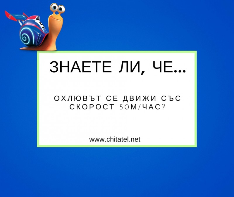 Знаете ли, че...