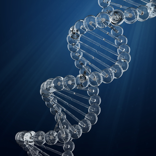 ДНК маркери и генотипизиране
