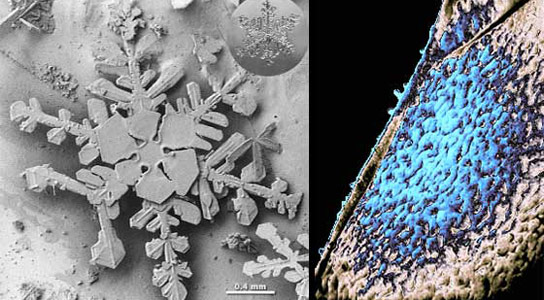 Goddard-Lab-Works-on-Cosmic-Ice