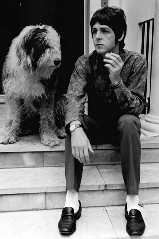Paul McCartney and his sheepdog Martha