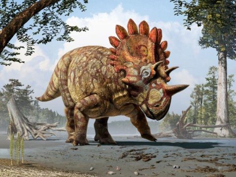 Нов рогат динозавър е открит – Regaliceratops peterhewsi
