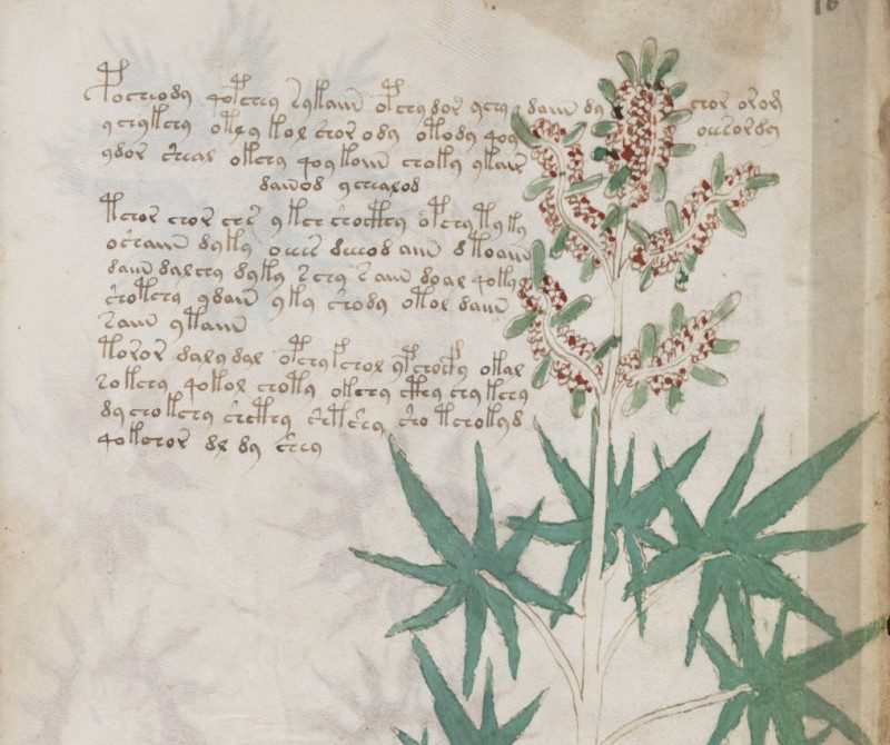 Voynich_Manuscript