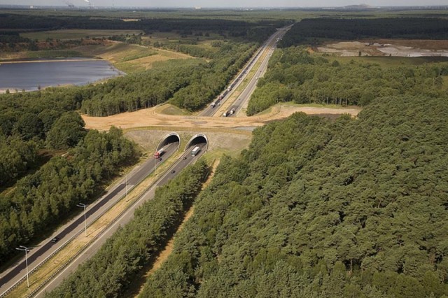 animal-bridges-wcth05-640x426