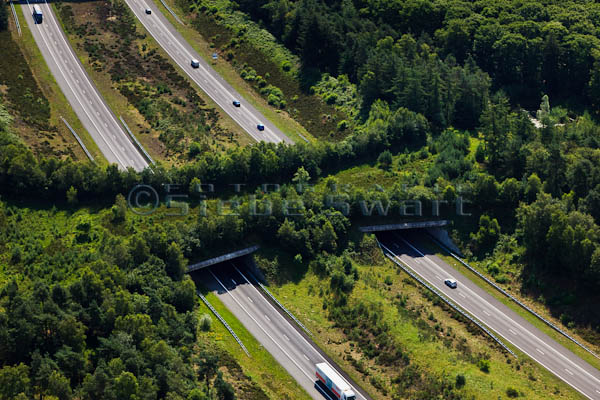 Nederland, Gelderland, Gemeente Barneveld, 30-06-2011; Veluwe met A1 en ecoduct Kootwijk Highway A1 through nature area the Veluwe, the Netherlands. Ecoduct (wildlife bridge) crossing the highway. luchtfoto (toeslag), aerial photo (additional fee required) copyright foto/photo Siebe Swart