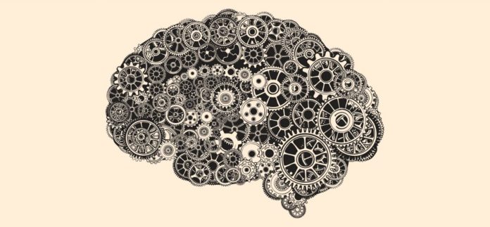 brain-1940x900
