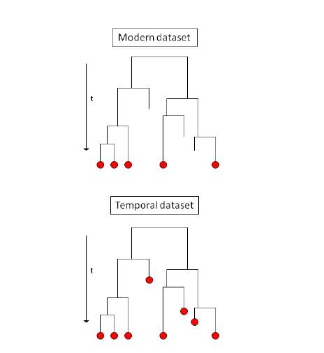 dataset