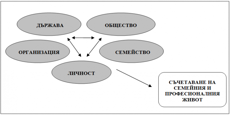 semeen_jivot_fig1