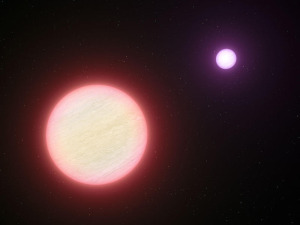 star_brown_dwarf