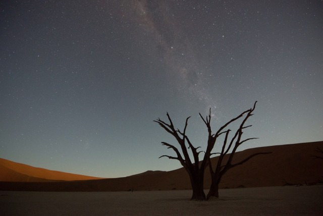 the-900-years-old-leafless-forest_12