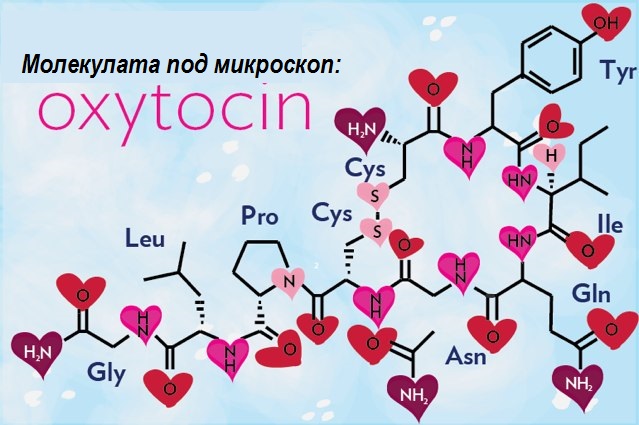 under-the-molecule-oxytocin-banner