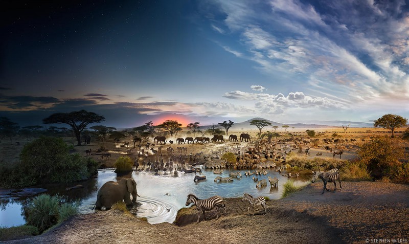 Национальный парк Серенгети, Танзания, 2015 год