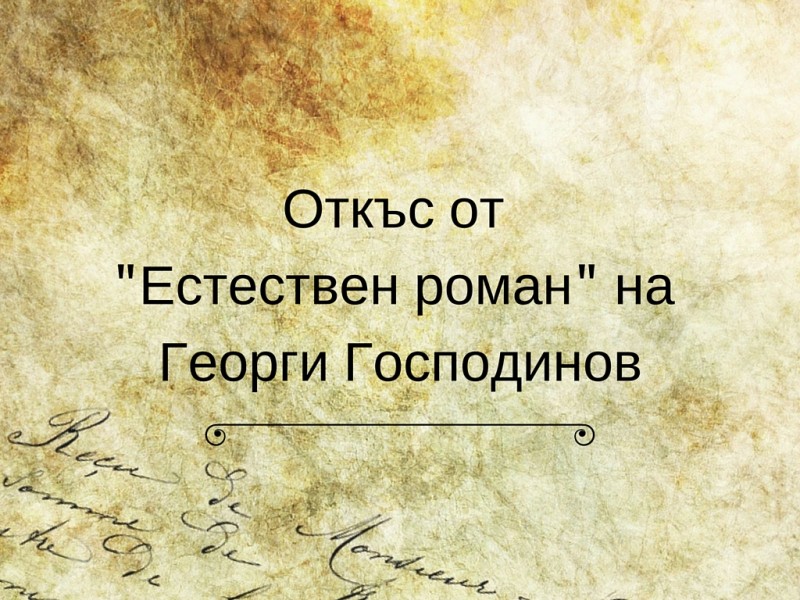 Откъс от -Естествен роман- на Георги Господинов (1)